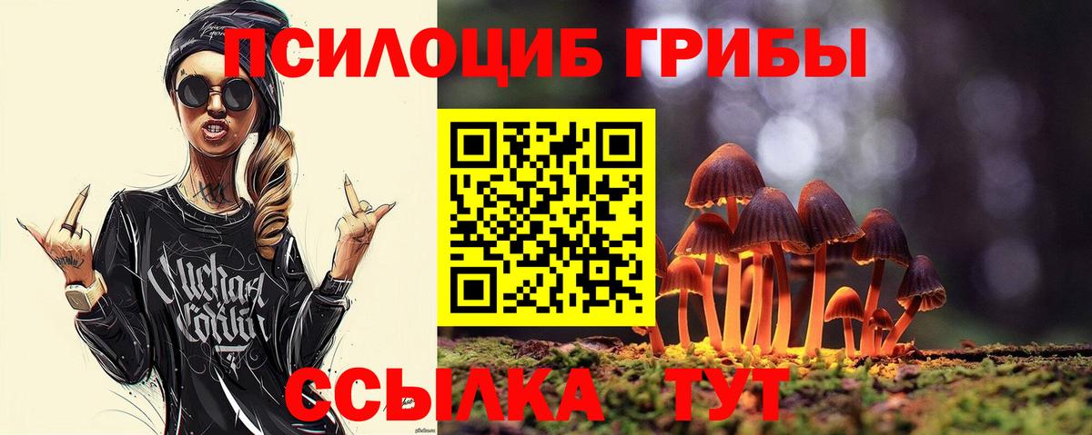Россия  Псилоцибиновые грибы MAGIC MUSHROOMS  как найти закладки  Галлюциногенные грибы Psilocybine cubensis  Вход с VPN 